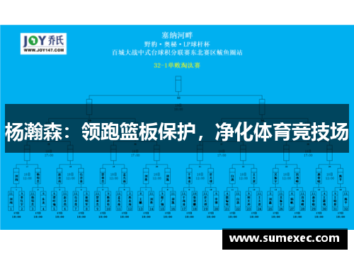 杨瀚森：领跑篮板保护，净化体育竞技场